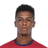 Wellington Priori