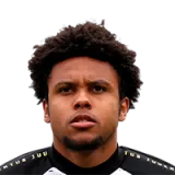 Weston Mckennie Football Player
