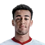Tyler Adams