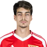 Diogo Leite