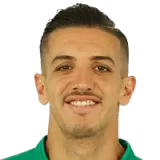 Zouhair Feddal
