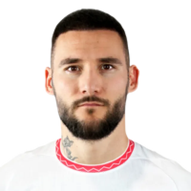 Nemanja Gudelj Football Player
