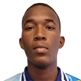 Joe Williams Cricket Player