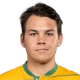 Cricketer