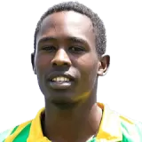 Cricketer