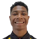 Ware Robin
