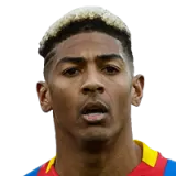 Patrick van Aanholt