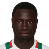 Cheikhou Kouyate