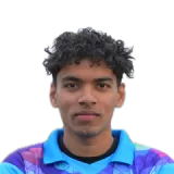 Cricketer