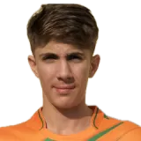 Cricketer