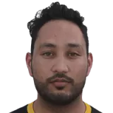 Cricketer