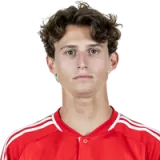 Brenden Aaronson