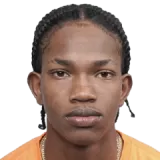 Carlton Pluck Cricket Player