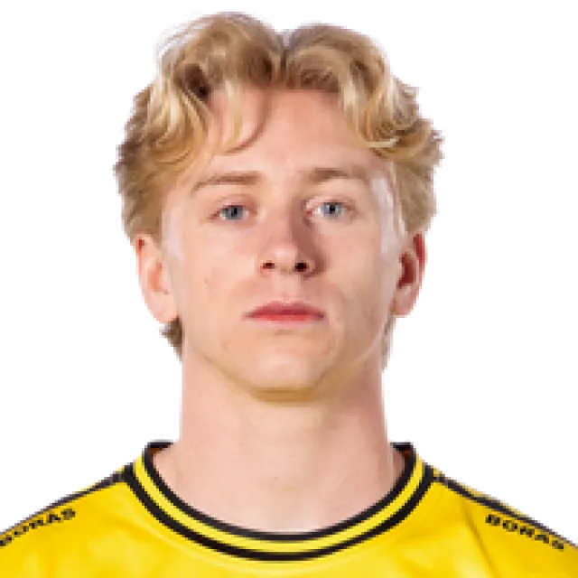 Ludvig Richtner Football Player