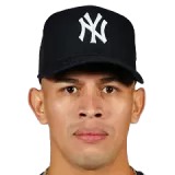 Jonathan Loaisiga Baseball Player