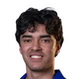 Tom Hogan Cricket Player