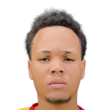 Matthew Morgan Cricket Player