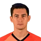 Taras Stepanenko Football Player