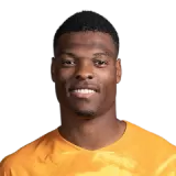 Denzel Dumfries