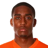 Leroy Fer  Player