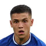 Muhamed Besic