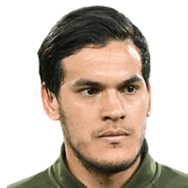 Gustavo Gomez
