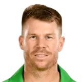 David Warner Cricket Player