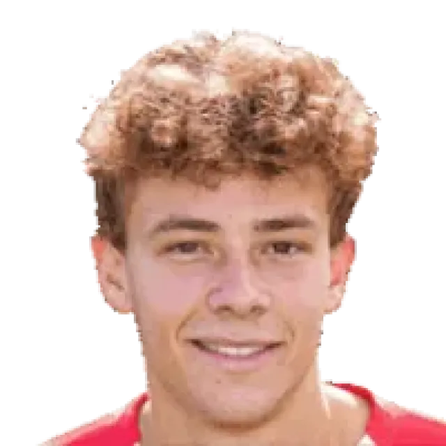 Max De Ligt
