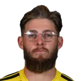 Chris Dent Cricket Player