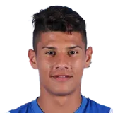 Florinel Coman