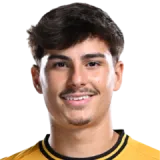 Rodrigo Martins-Gomes