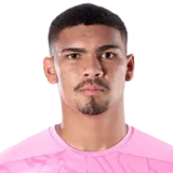 Luiz Reis-Junior