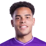 Mario Stroeykens Football Player