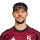 Veljko Birmancevic