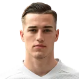 Luka Sucic