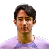 Marcelo Pitaluga  Player