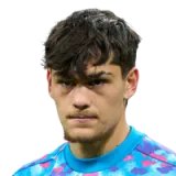 Diego Pineiro