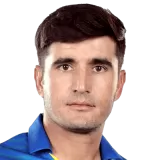 Amir Hamza