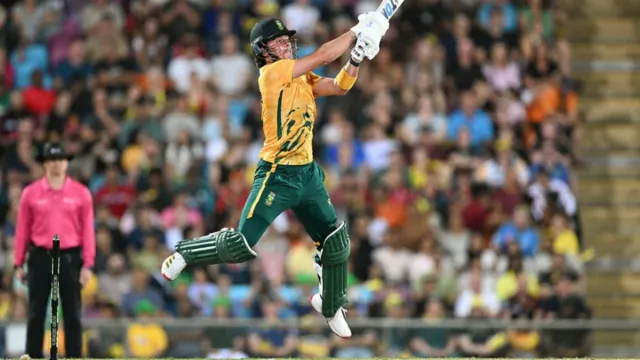 NAM vs SA My11circle, Vision11, Howzat Team,
