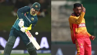 Will ZIM (Zimbabwe) win?