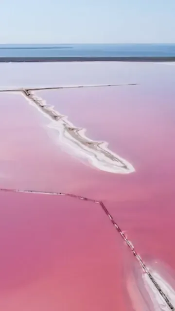 Breathtaking pink lakes around the Picture
