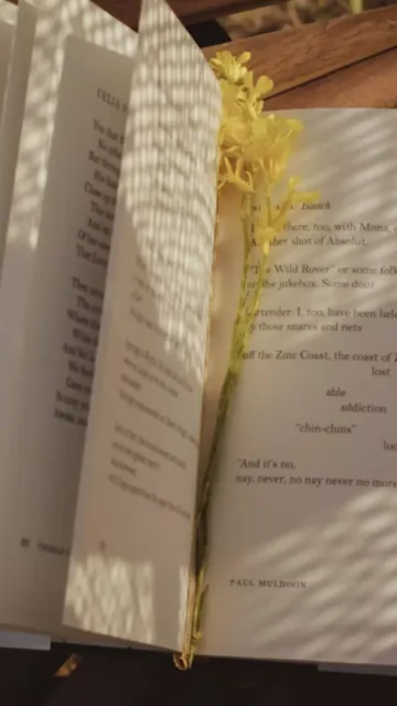 Cultural fiction novels you should Picture