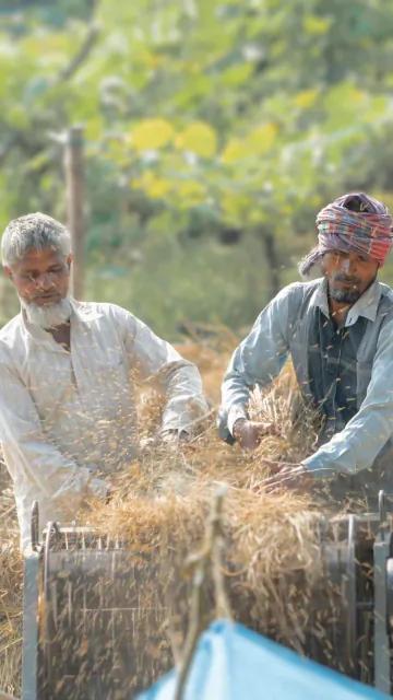Here are the best farming Picture