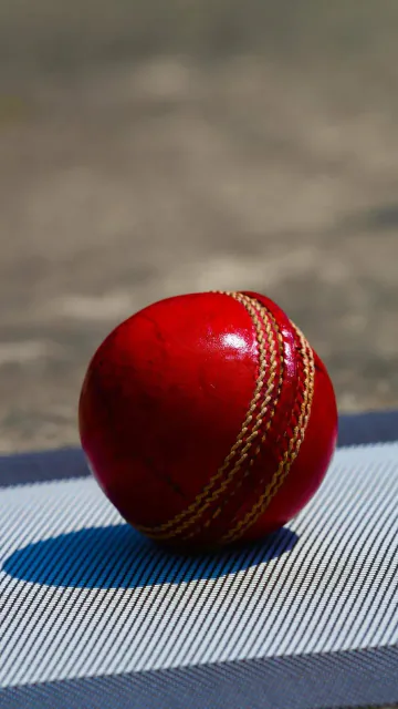 How much does a cricket Picture
