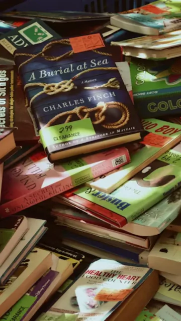 Mystery novels to read if Picture