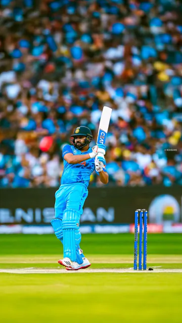 Players who hit 50 sixes Picture