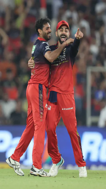 RCB Playoff Chances in Danger? Picture