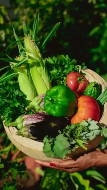 Seasonal vegetable recipes to try Picture