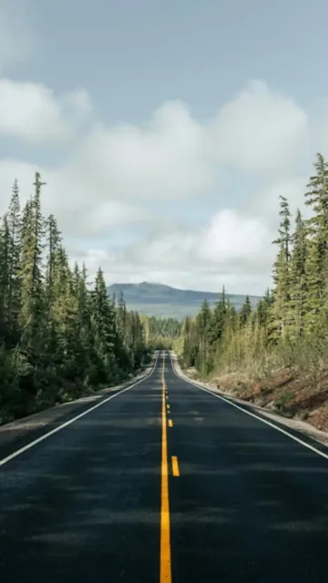 The Oldest Roads in the Picture