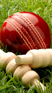 Top 5 Richest Cricketers in the
